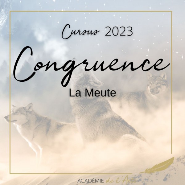 Formation professionnelle 