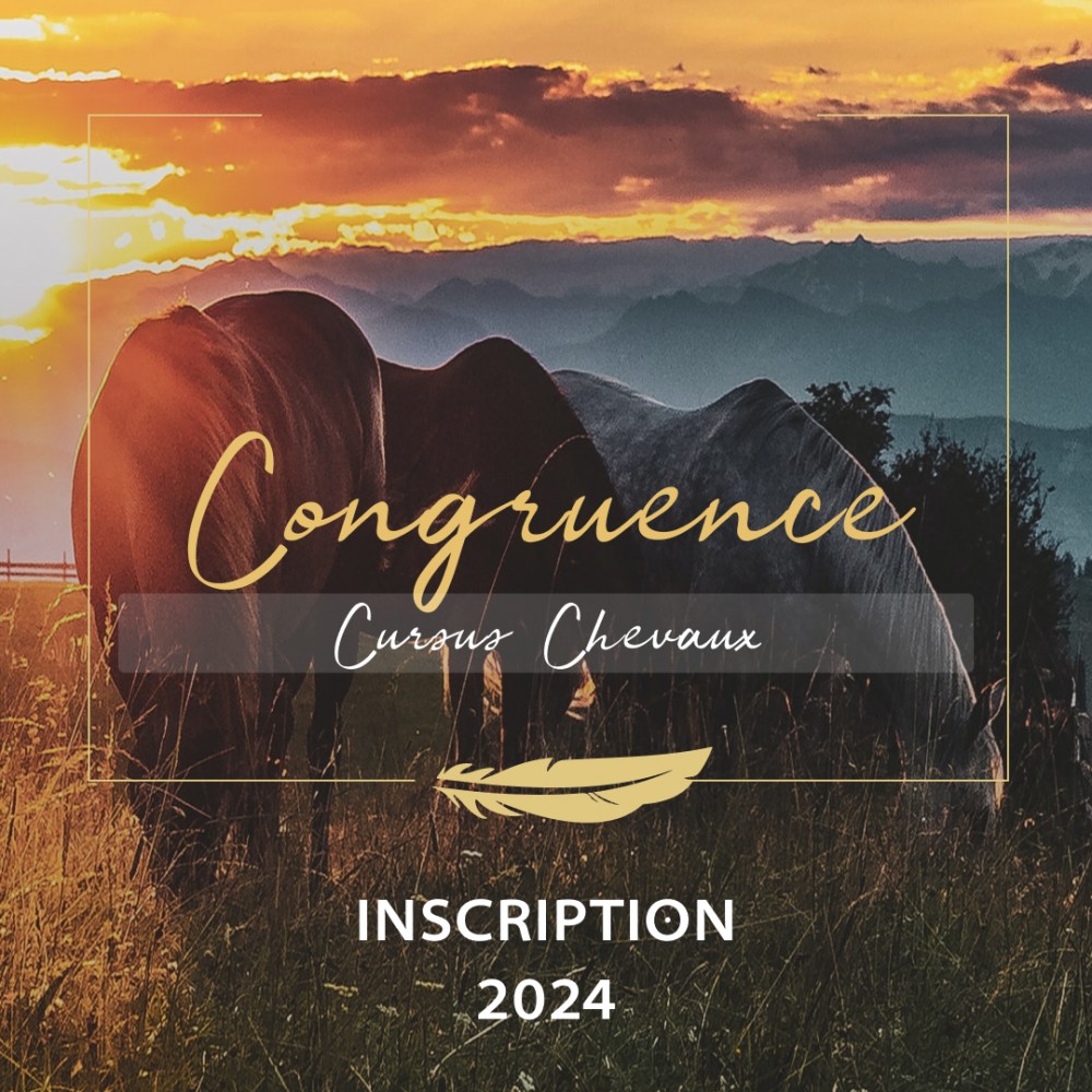 Formation professionnelle "CONGRUENCE" - Chevaux - Année 2024-2025 - Pré-inscription