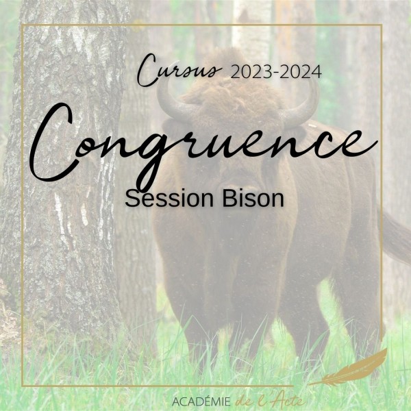 Formation professionnelle 