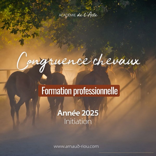 Formation professionnelle 