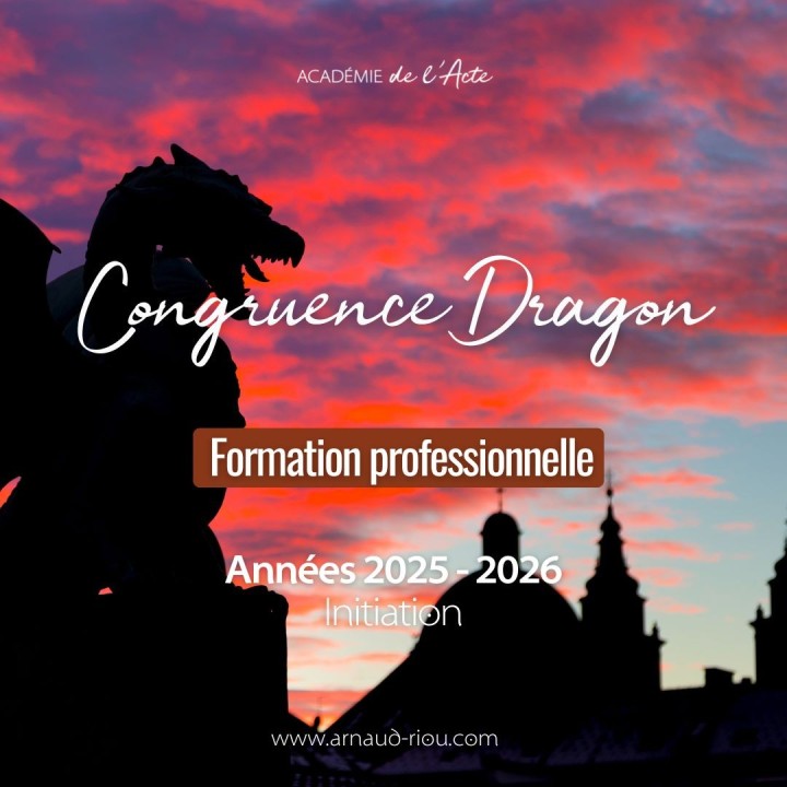 Formation professionnelle CONGRUENCE - Dragon - Année 2025 2026 - Solde