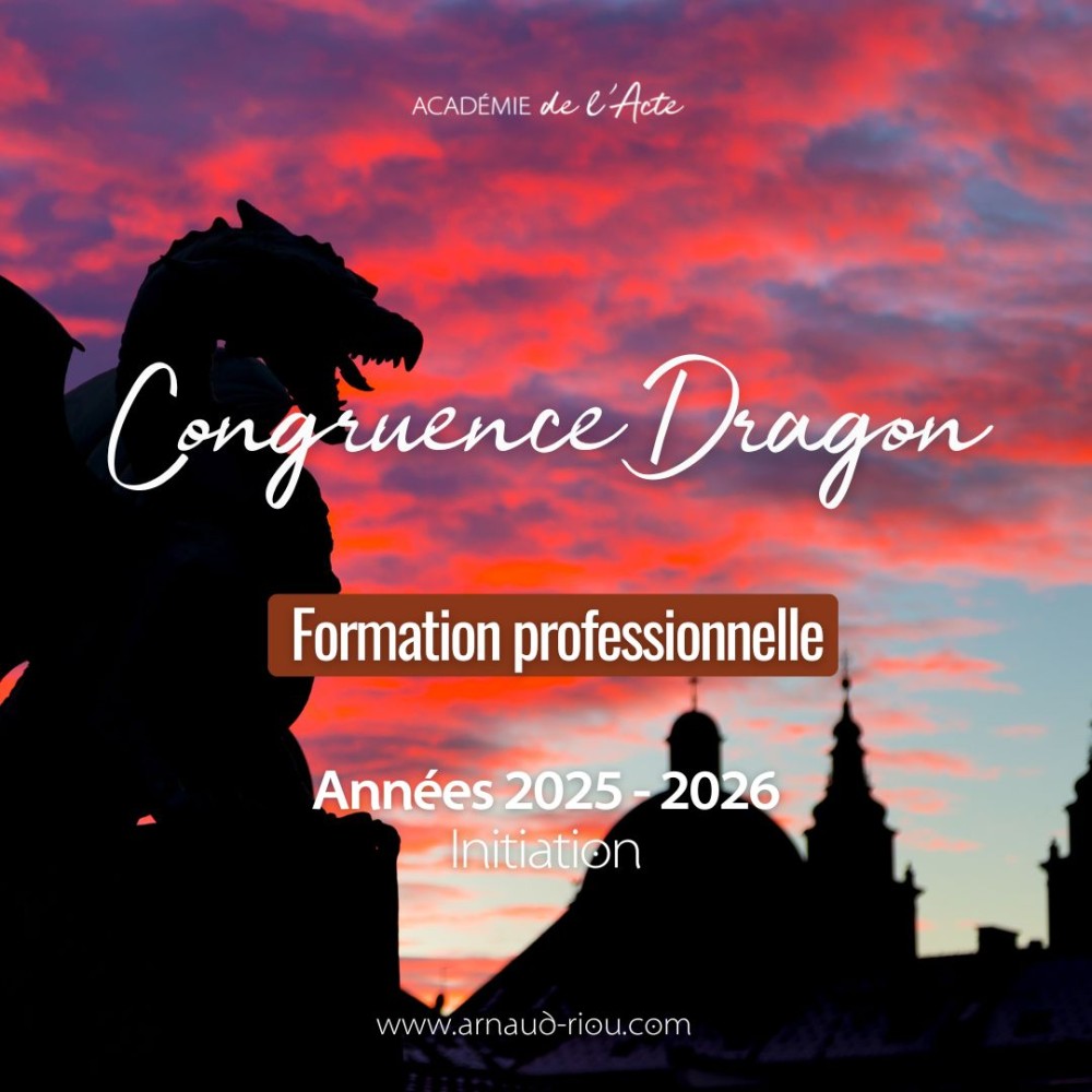 Formation professionnelle CONGRUENCE - Dragon - 2025 2026 - acompte