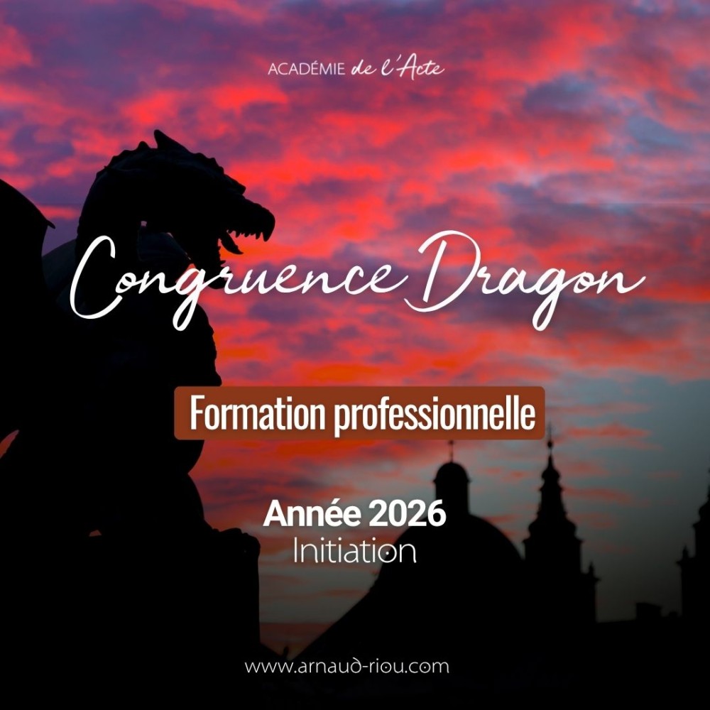 Formation professionnelle "CONGRUENCE" - Dragon - Année 2026