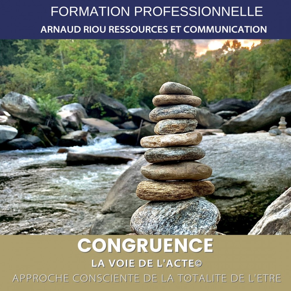 Formation professionnelle "CONGRUENCE" - COLIBRI Année 2023 - Pré-inscription